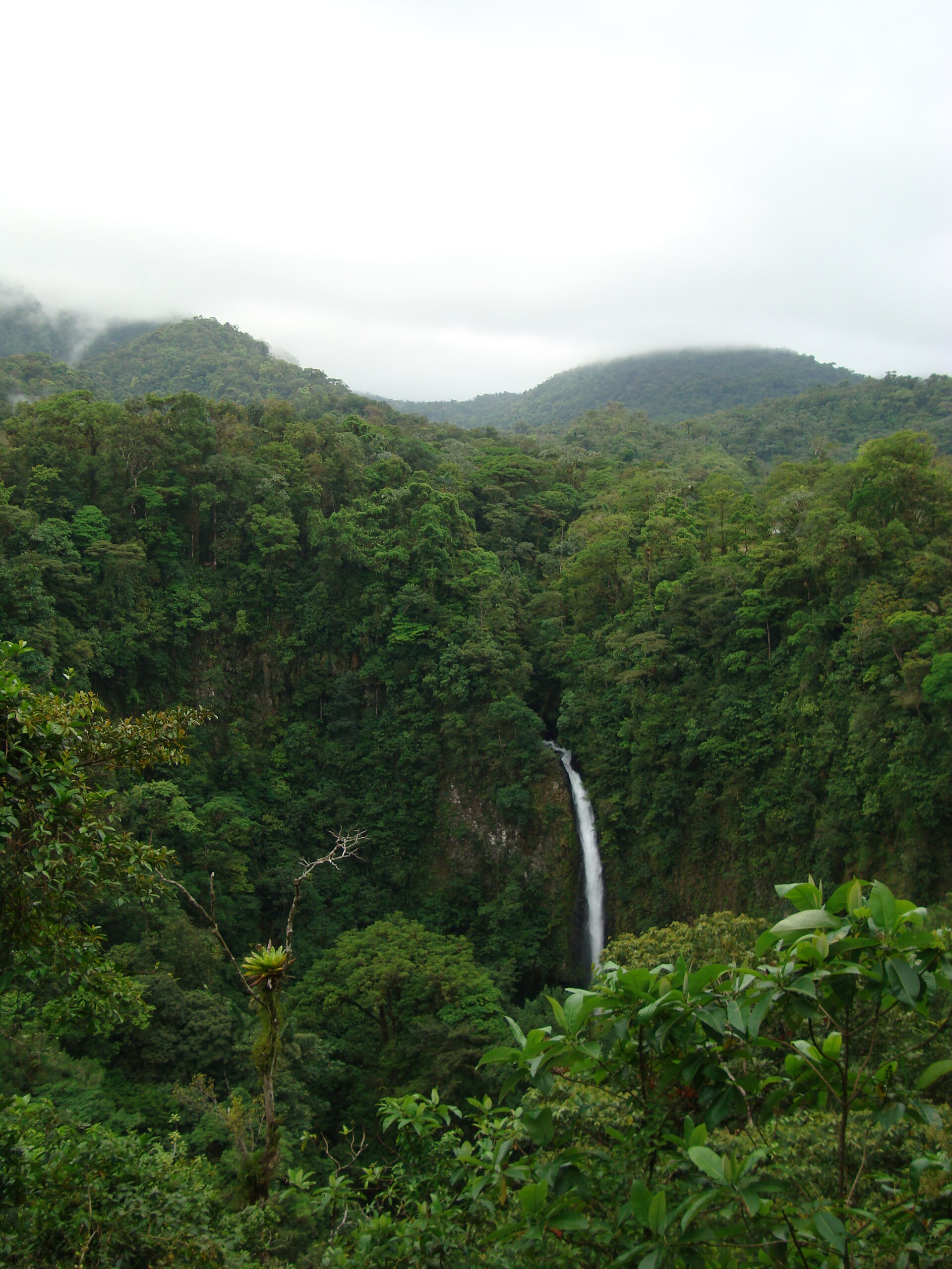 Caminata privada a la catarata escondida — photo 1 of 1