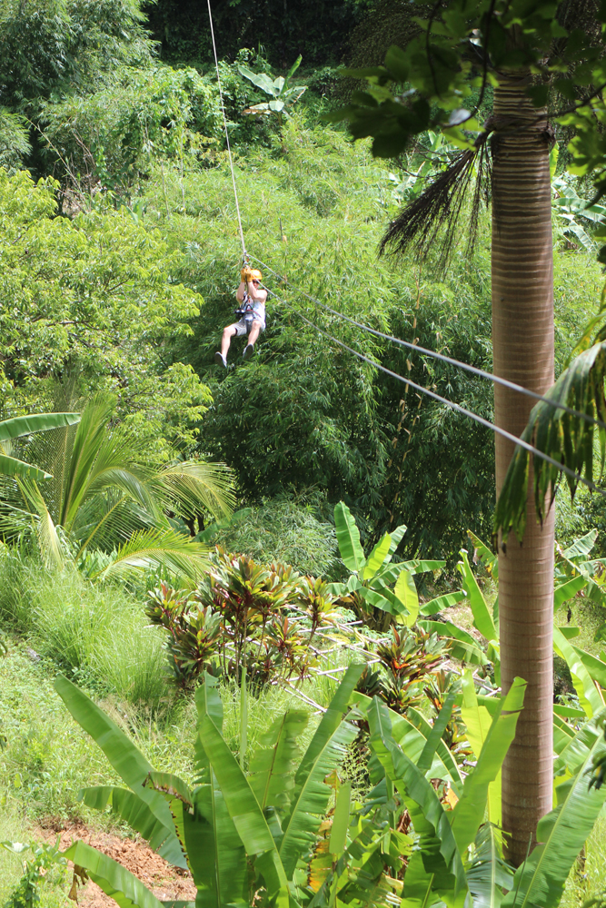 Canopy y puentes colgantes en Monteverde — photo 1 of 1